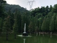 -广州市帽峰山景区