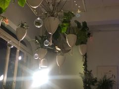 -春树下·树屋花房西餐厅(罍街AS1980店)