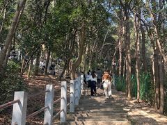 -灵顺寺