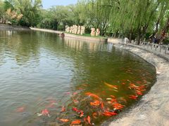 -北京世界公园