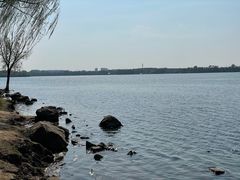 -丁香湖公园
