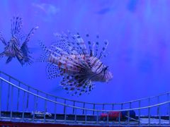 -太平洋海底世界