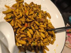 蚕蛹-虾饺妹·粤式手工点心(水荫路店)