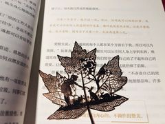 -百新书局(尚悦湾店)