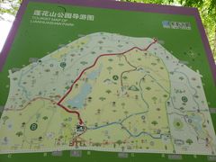 -荔枝公园-小平画像广场