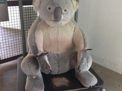 -悉尼海洋生物水族馆