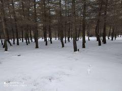 -红崖峡谷景区