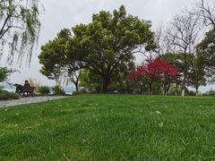 -苏堤停车场