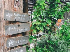 -MOJ coffee(瓯海泽雅水碓坑店)