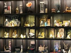 -雪灵魔法世界SHELLY’S TAROT(大良桂畔里店)