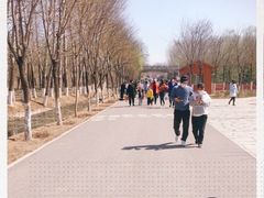 -东郊湿地公园