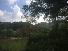-广州市帽峰山景区