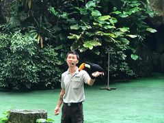 -新加坡飞禽公园