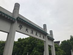 -武汉大学-樱园