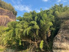 -九曲溪竹筏码头