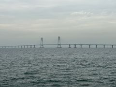 -招商蛇口邮轮母港(观光客运)