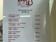 -Big Bus Tours 敞篷观光巴士