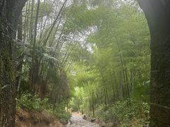 -仙霞关景区