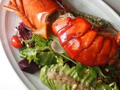 龙虾牛油果沙拉-斯普汇生蚝牛排馆(中骏世界城店)