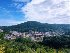 -军营村