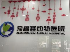 -宠福鑫动物医院(望京分院)
