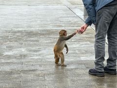 -重庆云阳龙缸景区