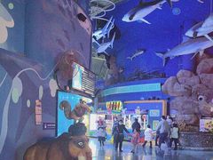 -烟台海昌鲸鲨海洋公园