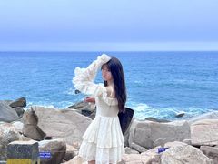 -广东惠东海龟国家级自然保护区