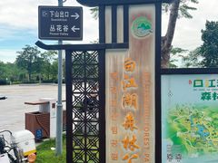 -广州白江湖森林公园