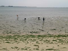 -北海金海湾红树林生态旅游区