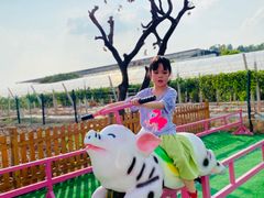-长洲岛都市农业公园