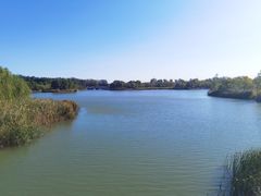 -马家湾湿地公园