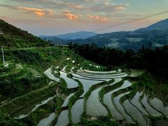 -紫鹊界梯田景区