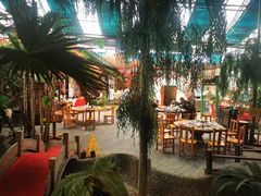 -漕河全驴宴饭店(徐水店)