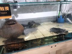 -甜心闲生传统手工冰粉(奎星楼店)