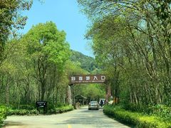 -杭州野生动物世界