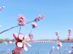 -北海公园
