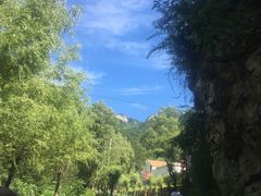 -王顺山国家森林公园