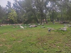 -秦皇岛野生动物园