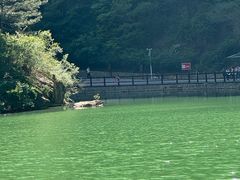 -山西通天峡景区