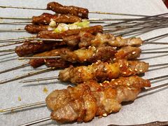 现穿羔羊肉串-火联烧烤(学院路创始店)