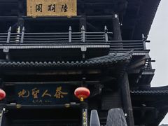 -大唐贡茶院