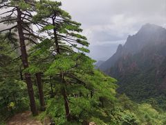 -黄山风景区