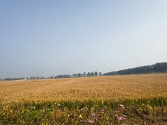 -听说碳烧蛙(高新万达店)