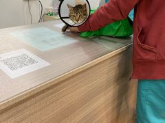 -荔康动物医院(康王北路店)