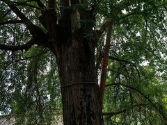 -金堂县云顶石城风景区