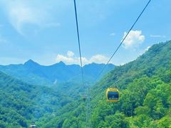 -栾川竹海野生动物园