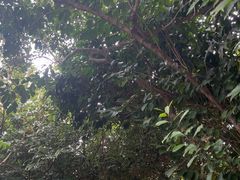 -三亚蜈支洲岛旅游区