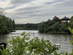 -宜兴龙背山森林公园