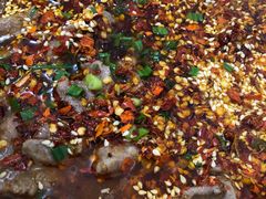 水煮牛肉-勇猛子川菜馆(新军路店)